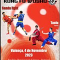 Campeonato Wushu Valença.jpg